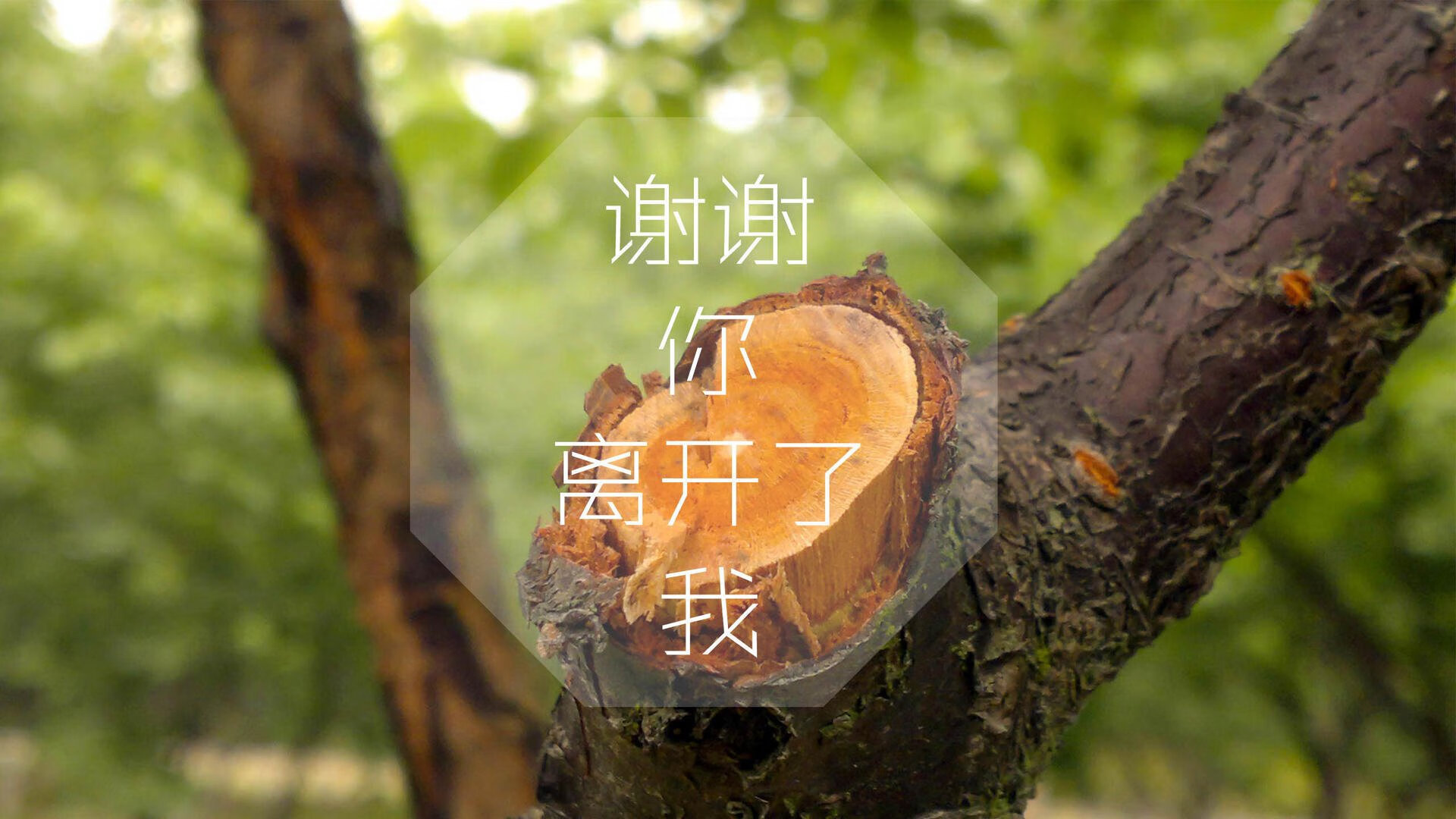 爱游戏ayx-世界青少年滑板锦标赛在上海盛大揭幕,世界滑板锦标赛规则 爱游戏ayx-世界青少年滑板锦标赛在上海盛大揭幕,世界滑板锦标赛规则